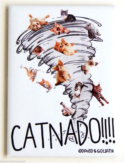 Catnado Fridge Magnet Humor Funny Cat Tornado David And Goliath Funny
