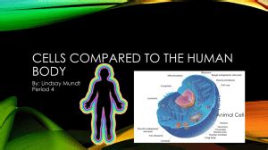 Check spelling or type a new query. Cell Structure & Function Quiz
