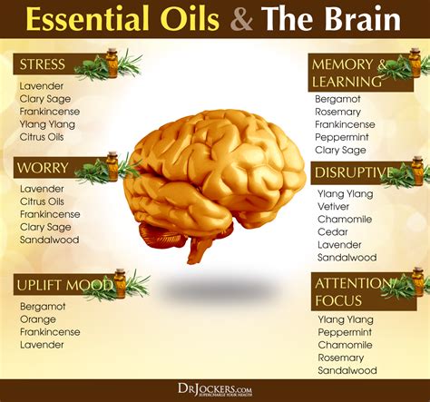 How To Use Essential Oils For Brain Health Essential Oils Health