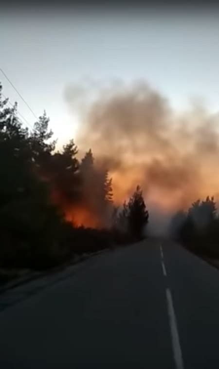 Η χαλκιδική είναι περιοχή της μακεδονίας και γεωγραφικά αποτελεί την απόληξη της κεντρικής μακεδονίας στο αιγαίο πέλαγος, το οποίο εισχωρεί βαθιά μέσα σε αυτήν, σχηματίζοντας τρεις επιμήκεις χερσονήσους, που δίνουν στην περιοχή το χαρακτηριστικό της σχήμα («πόδια της χαλκιδικής»). Φωτιά τώρα: Σε εξέλιξη πυρκαγιά σε δασική περιοχή στη ...