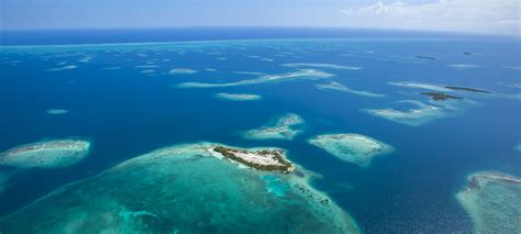 Aerial Shot Of Sanctuary Belizes 6 Acre
