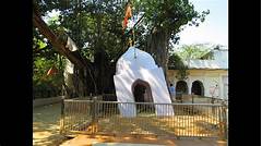 Rara Ranzai The Birthplace Of Legends And Enchanting Folklore