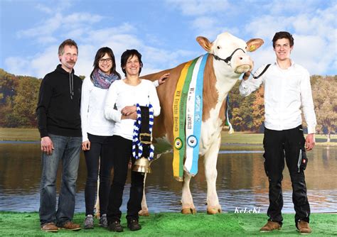 Heftige diskussionen uber corona beherbergungsverbote. VFR Tierschau 2017 in Bayreuth - Aktuell