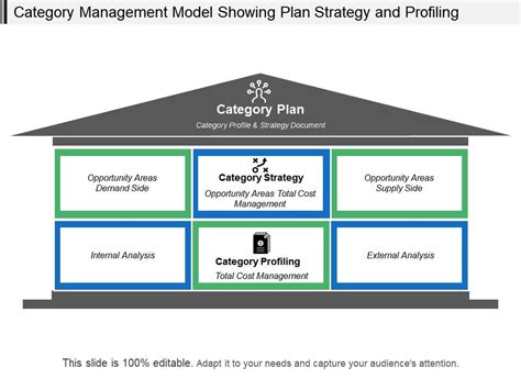 Category Management Model Showing Plan Strategy And Profiling