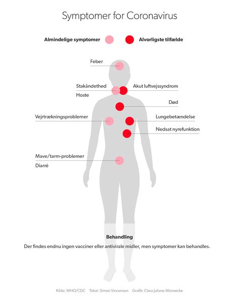 For social workers and other professionals: Kinesisk kvinde i Danmark er testet negativ for ...