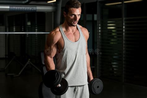 Young Muscular Man Lifting Weights Stock Image Image Of Posing