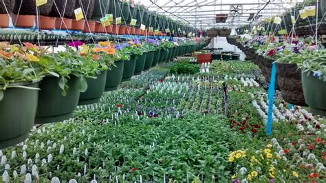 Alpine Plant World 3441 19th Ave Smithers Bc