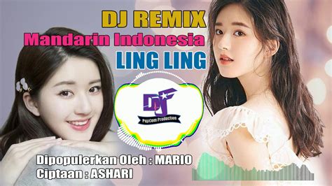 Dj Remix Ling Ling Mandarin Indonesia 2021 Official Music Youtube