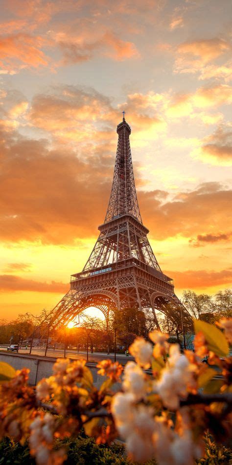 Phone And Celular Wallpaper Eiffel Tower Paris