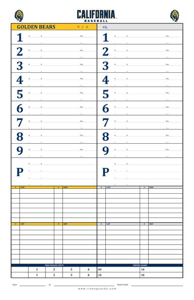 Custom College Baseball Dugout Cards Charts With College Throughout