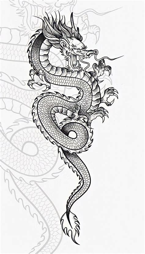 Dragon Tattoo Outline Dragon Tattoo Stencil Dragon Tattoo Drawing