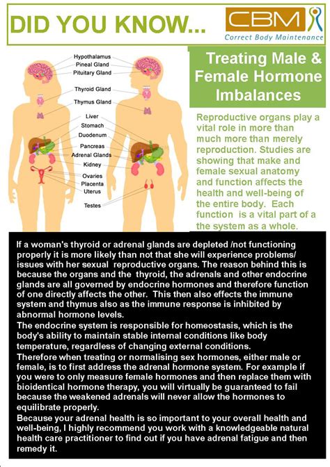male and female hormone imbalances correct body maintenance