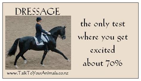 Dressage quotes for instagram plus a list of quotes including far be it from me to force anyone into either chess or dressage, but if you choose to do so yourself. Dressage Horse Quotes. QuotesGram
