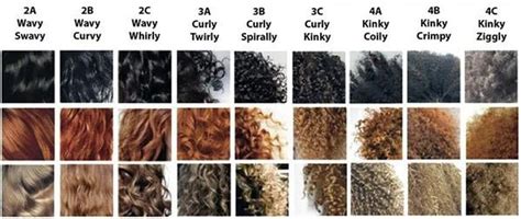 What Type Of Curly Hair Do You Have Curly Hair Styles Curly Hair