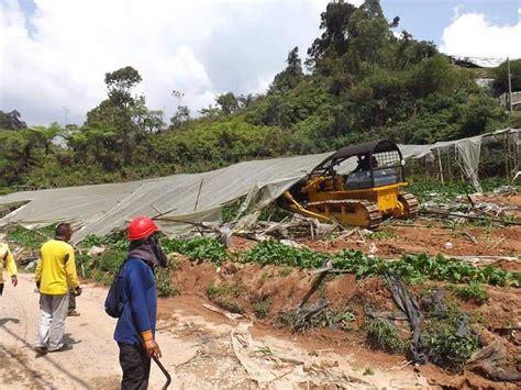 From wikipedia, the free encyclopedia. Tak Sampai 100 Hari Menang Di Cameron Highlands, Menteri ...