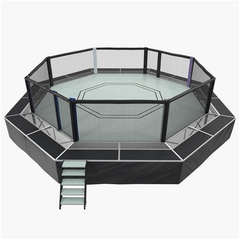 Zakladatelé a zároveň jeho majitelé jsou pavol neruda a ondřej novotný. Fighting Octagon Arena 3D Model #AD ,#Octagon#Fighting# ...