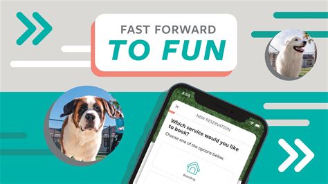 How To Fast Forward to Fun With the New Pet Paradise Mobile App