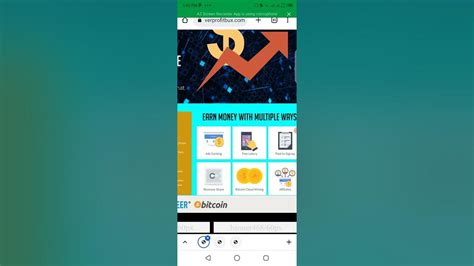 everprofitbux.com withdrawal mathods get money in your wallet online