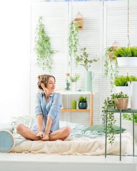 Dadurch verbessern sie die luftqualität in deinem schlafzimmer und können erholsamen schlaf fördern. Pflanzen im Schlafzimmer - diese Arten verbessern Ihren ...