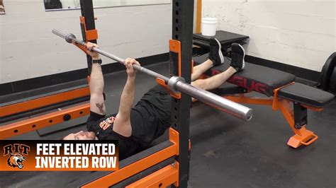 Barbell Inverted Row Youtube