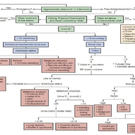 The Clinical Approach To Hypokalemia Source Brenner And Rectors The
