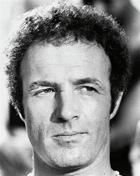 James Caan In The Killer Elite 1975 Photograph By Album