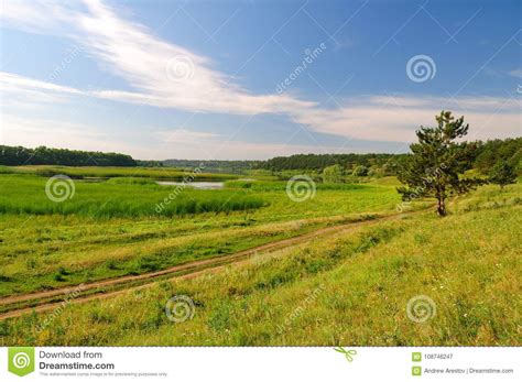 Landscape With A Pine Forest And Lakes Stock Image Image Of Trees