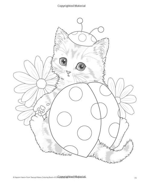 Teacup Kittens Coloring Book (Design Originals) 32 Adorable Expressive