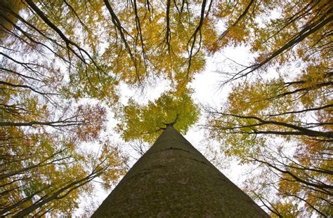 Viele menschen können sie kaum erwarten: Der Herbst in Stuttgart beschert uns vom kommenden ...