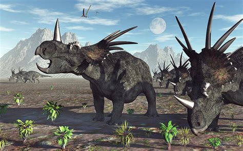 A Herd Of Styracosaurus Dinosaurs Photograph By Mark Stevenson Pixels