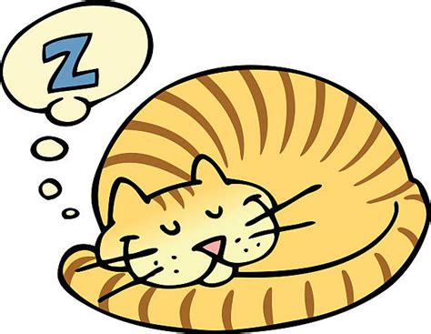 We did not find results for: Cat Sleeping Clip Art, Vector Images & Illustrations - iStock