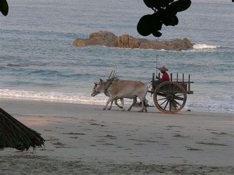 Als je een rating van populariteit en de grootste geschiktheid voor. Strand in Myanmar - Myanmar beach scenery (mit Bildern ...