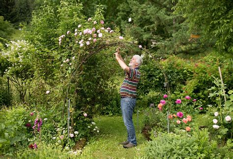 Faszination garten schloß weingartsgreuth findet am 27. Faszination Garten im Jahreslauf