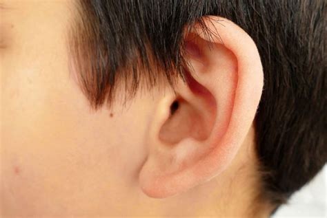 Middle Ear Infection 10 Symptoms And Treatments For Otitis Media