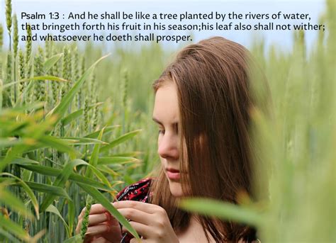 Bible Verses About Prosperity Kjv