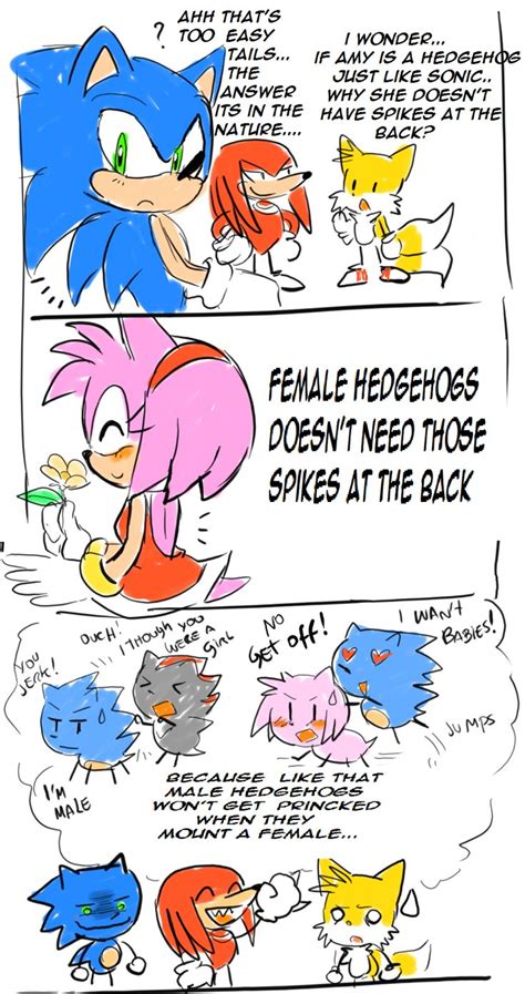 Tails No Entiendo Si Amy Es Un Erizo Como Sonic Porque No Tiene Púas Es La Espalda Knuckles