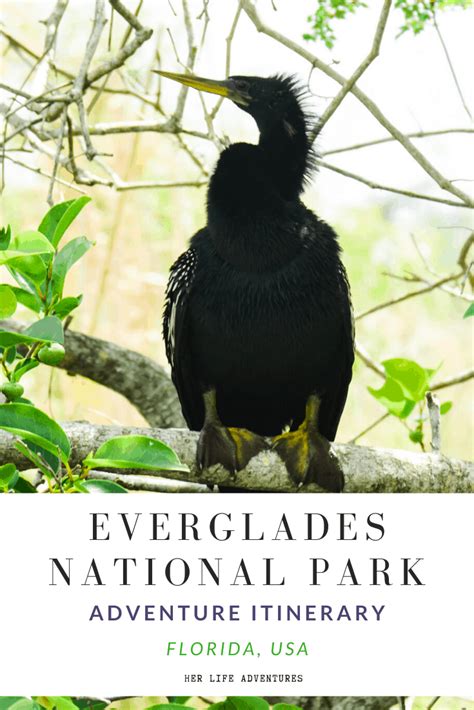 This Adventure Guide To Everglades National Park Will Explore The