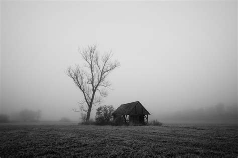 Silent Foggy Days Foggy Photography Black And White