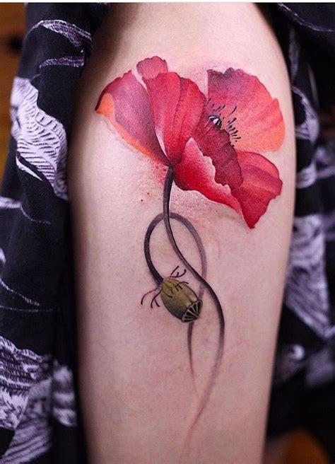 42 Best Poppy Tattoo Images On Pinterest Poppies Tattoo