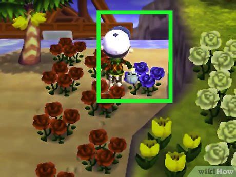 Maybe you would like to learn more about one of these? How to Get Blue Roses and Purple Pansies in Animal ...