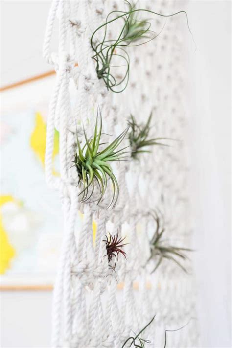 Maybe you would like to learn more about one of these? Macrame Room Divider DIY - A Beautiful Mess