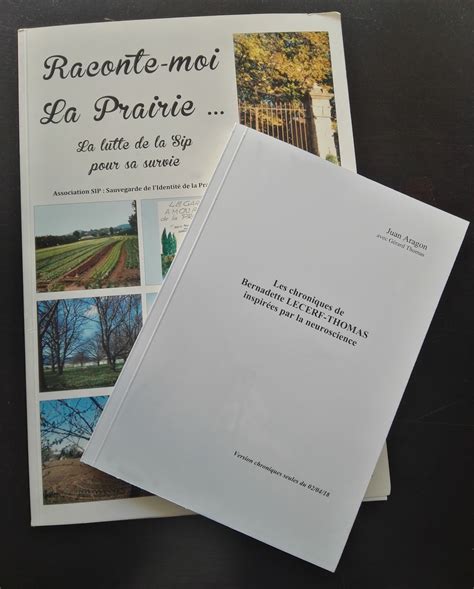 Thèse Mémoire Et édition à Montpellier Montpellier Imprimeur Infoprint