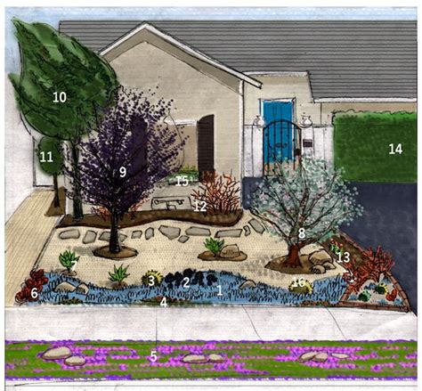 Xeriscape Front Yard Plans Thi Chaney