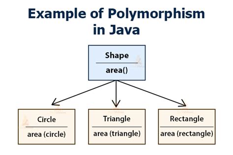 What Is A Polymorphism Slideshare