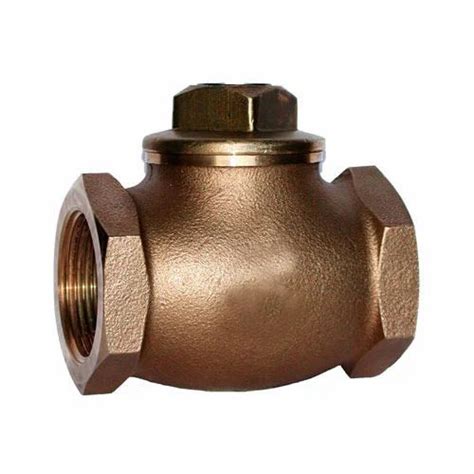 Low Pressure Brass Non Return Valve For Water At Rs 650piece In