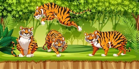 Tiger In The Jungle 648235 Vector Art At Vecteezy