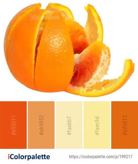 50 Orange Color Palettes Icolorpalette Blog
