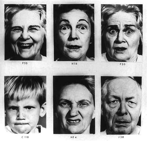 Emotion Families Part 2 How To Interpret Facial Expressions Of Emotion By Paul Ekman Medium