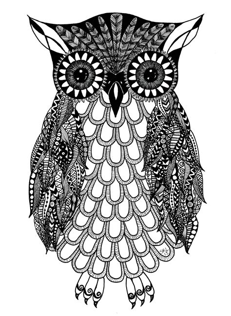 An Owl With Large Eyes And Ornate Patterns On Its Body Is Shown In