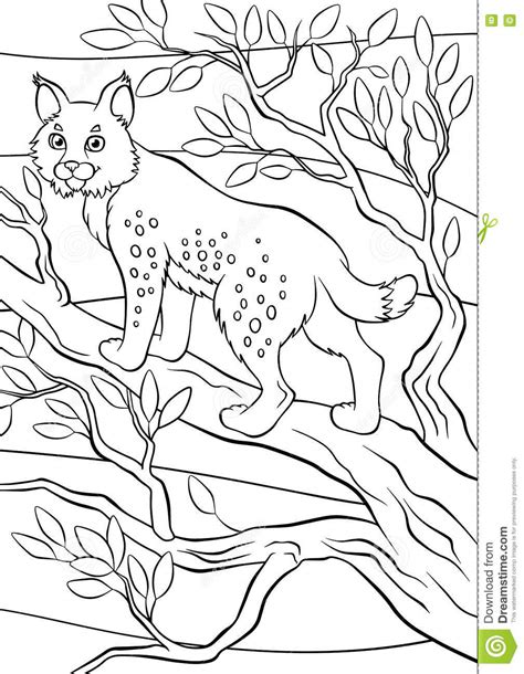 Coloring Pages Animals Little Cute Lynx Stock Vector